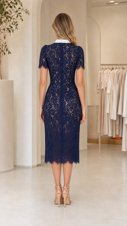 Back view of model in Navy collared lace midi dress