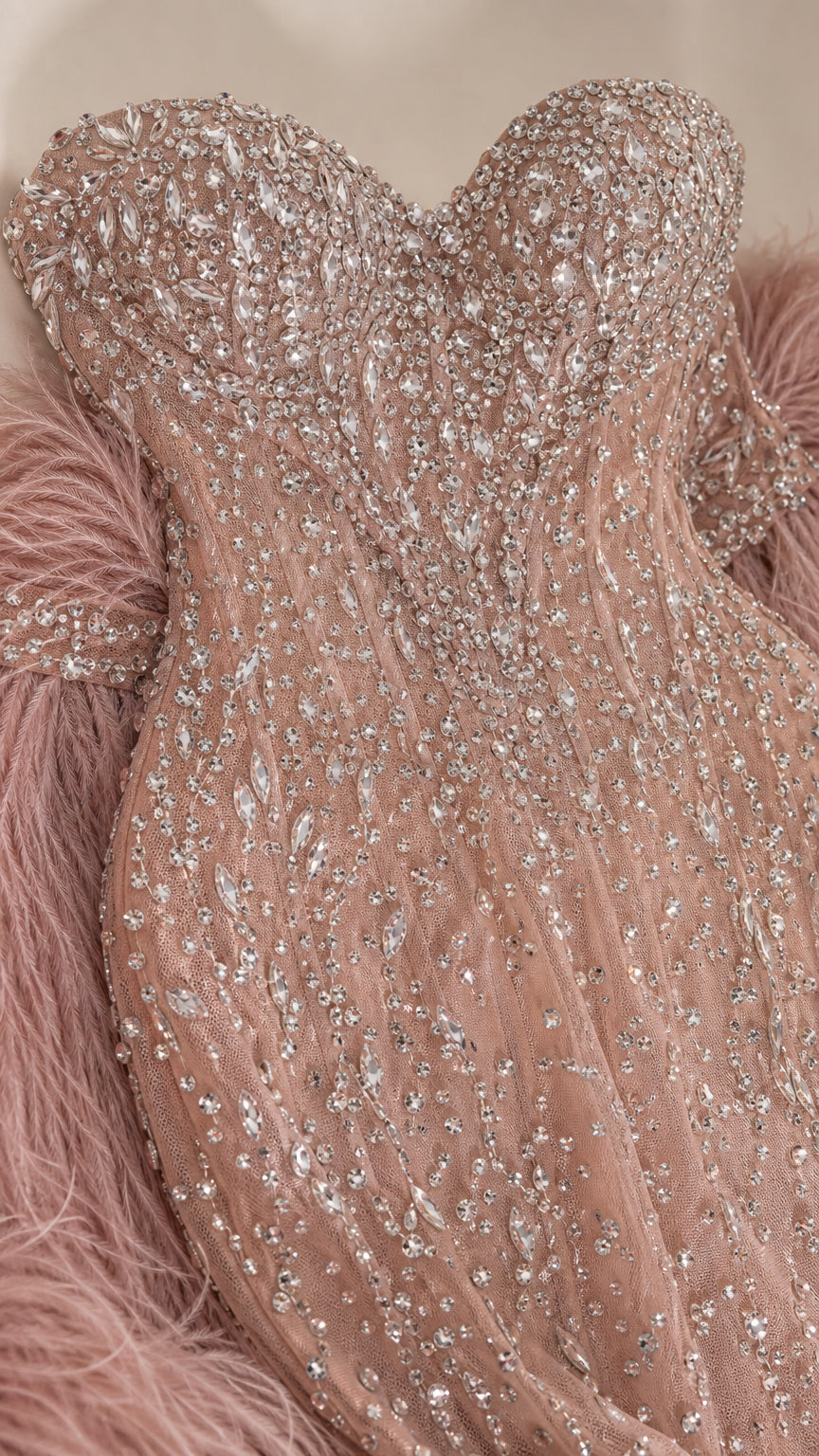 Close-up detail of sweetheart neckline with crystal beading, sequins, and feather trim