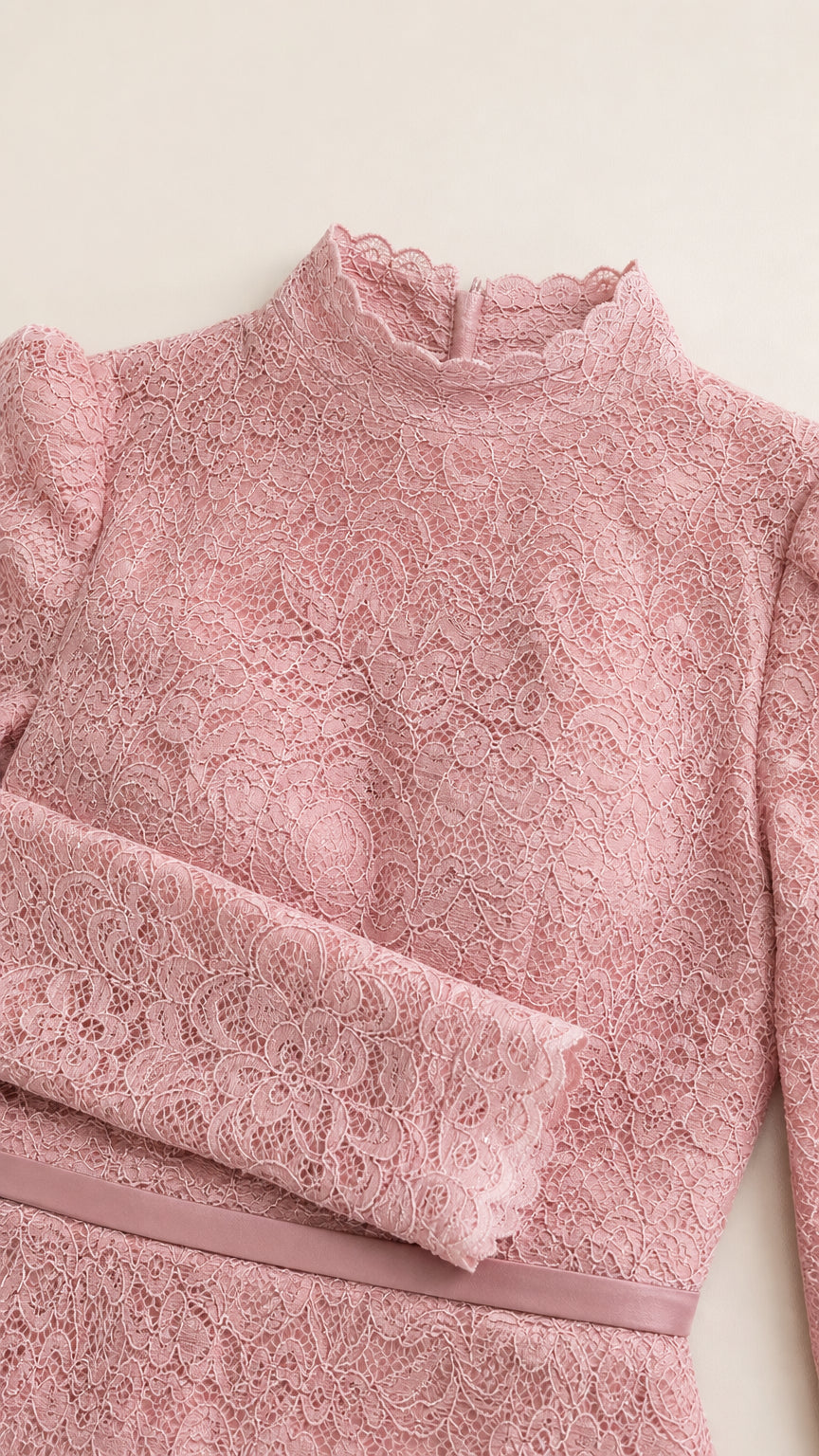 Close up view of scalloped high neckline and textured lace fabric